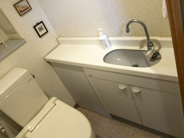 施工事例 こだわりのプランを現実にトイレは温かみのあるシックな空間に Before