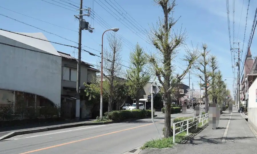 箕面市桜ヶ丘の街並みと住環境の魅力