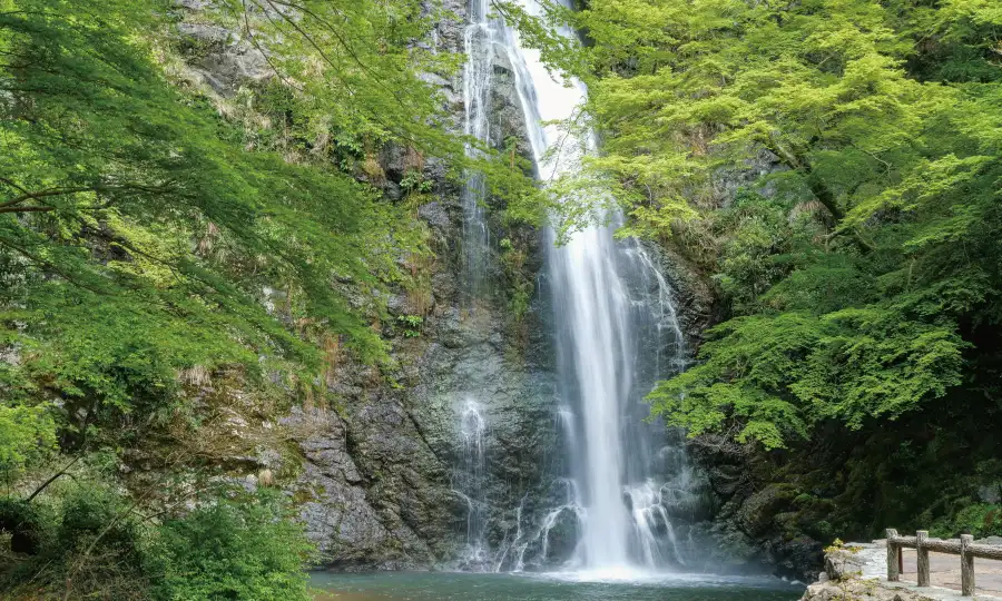 箕面駅周辺の豊かな住環境:自然と閑静な街並み