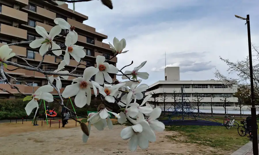 第三の柱:「成長」を育む環境とリノベーションの連携