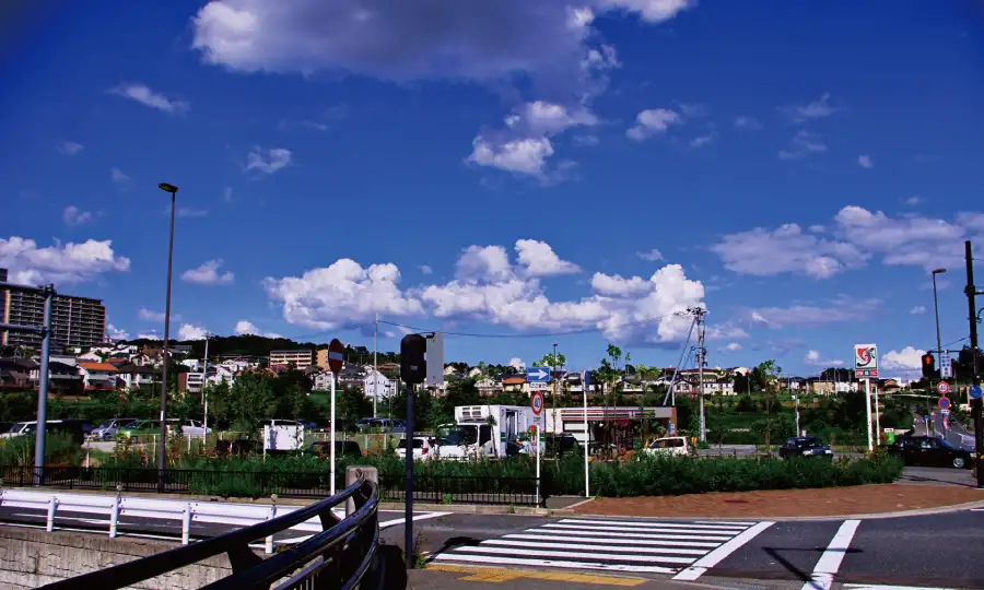 リノベーションで叶える東部エリア別の理想の暮らし