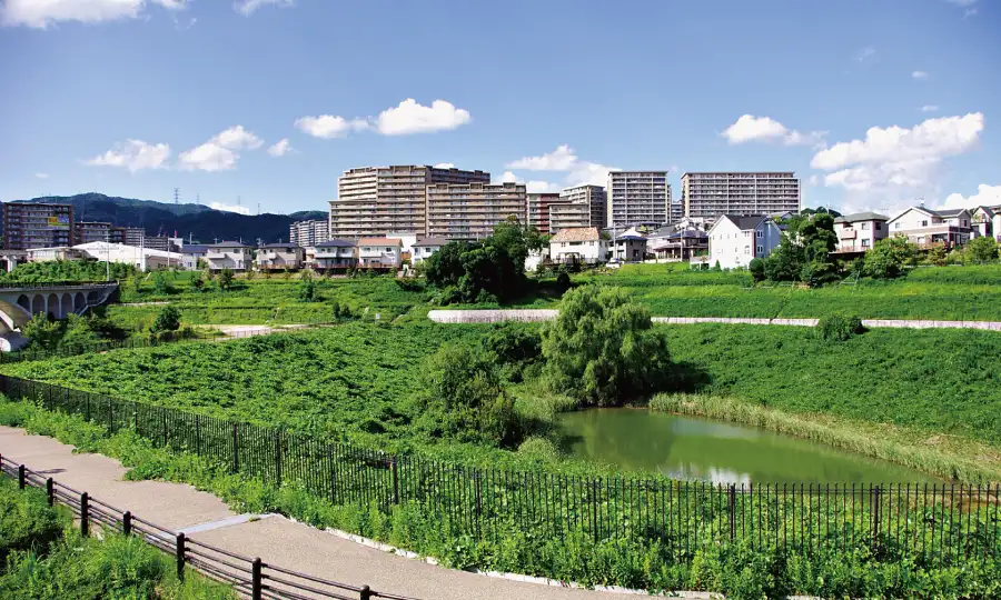 まとめ：箕面市東部エリアの住まい探しの羅針盤