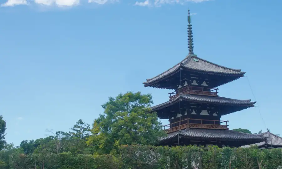 木材の驚異的な生命力:法隆寺が証明する1300年の絆