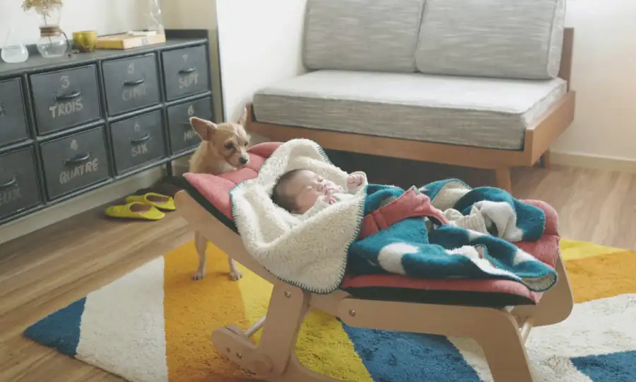 なぜ今、「断熱」が注目されているのか