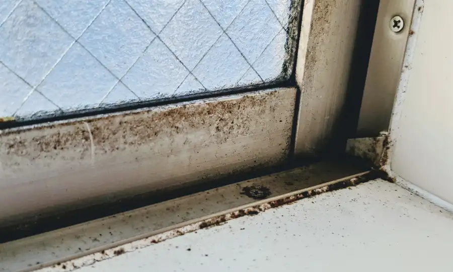 結露がもたらす恐ろしい二次被害