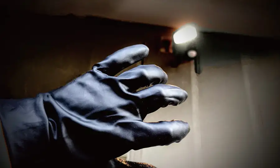 外構（エクステリア）：音と光で威嚇する