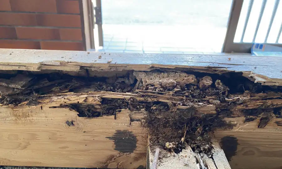 【隠れた不具合の失敗】解体して初めてわかる「見えない敵」