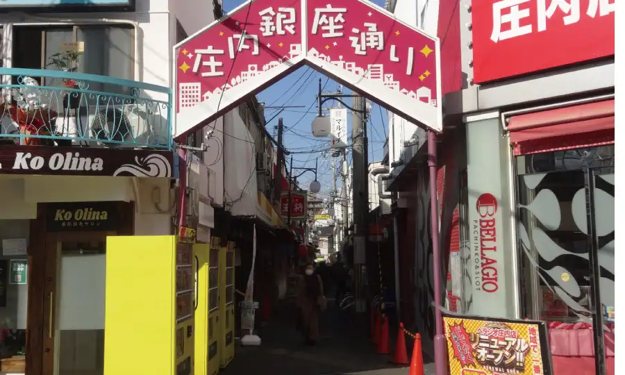 専門的な視点で見る「庄内の土地」とリノベーションの親和性