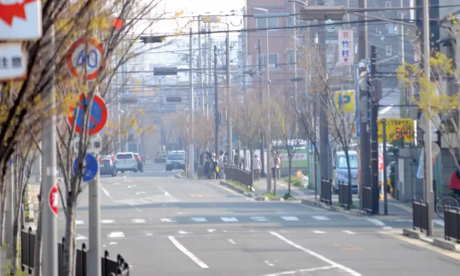 子育て世代が注目する、庄内の「教育と文化」